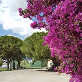 bodegas_paez_morilla.jpg