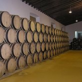la-futura-pac-apoyara-de-forma-especifica-al-sector-vitivinicola.jpg