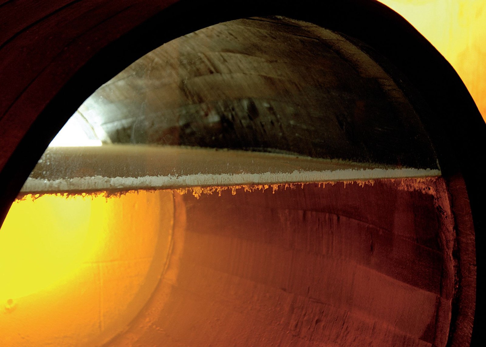velo de flor vinos de jerez sherry wines